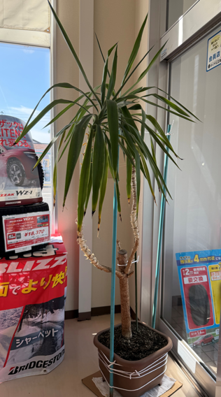 店舗写真